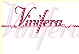 Vinifera Wine Services in Toronto, ON (Midtown Toronto) - Opening Hours