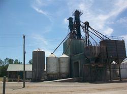 Ridgetown Feed & Supply Ltd, opening hours