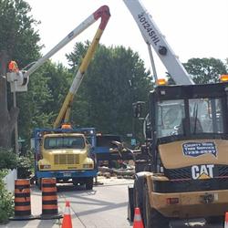 County Wide Tree Service, Kingsville, ON opening hours