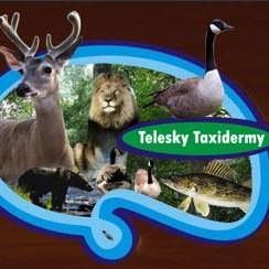 Telesky Taxidermist Ltd in Winnipeg, MB (Daniel Mcintyre) - Opening Hours