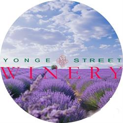 Yonge Street Winery Incorporated, Aurora, ON opening hours
