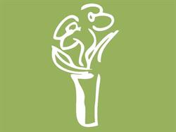 Nature's Wonders Florist in Vancouver, BC (Mount Pleasant) - Opening Hours