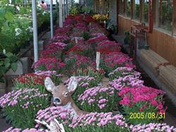 The Gardening Place Ltd, Brampton, ON opening hours