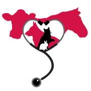 Paris Veterinary Clinic, opening hours