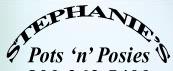 Stephanies Pots Nposies, St. Catharines, ON opening hours