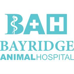 Bayridge Animal Hospital, Kingston, ON opening hours