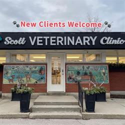 Scott Veterinary Clinic, Brantford, ON opening hours