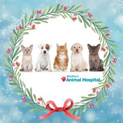 Mackays Animal Hospital, Burlington, ON opening hours