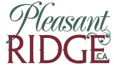 Pleasant Ridge Saddlery, Brantford, ON opening hours