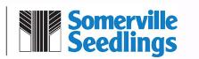 Somerville Nurseries Incorporated, Everett, ON opening hours