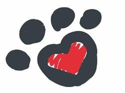 Pembroke Animal Hospital, opening hours