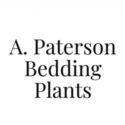 A Paterson Bedding Plants, Winnipeg, MB opening hours