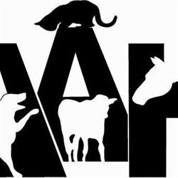 Annapolis Animal Hospital, New Minas, NS opening hours