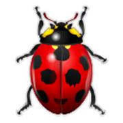 Bio-Pro Extermination Incorporated, Chicoutimi, QC opening hours