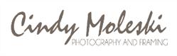 Cindy Moleski Photography, Saskatoon, SK opening hours