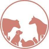 Mildmay Veterinary Clinic, opening hours