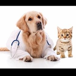 Smith Veterinary Hospital in Thornhill, ON (Steeles Corners) - Opening Hours