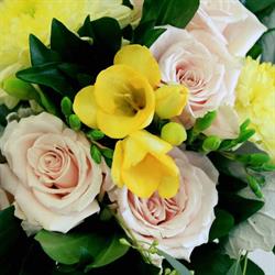 Balloons Bears & Bouquets in Edmonton, AB (Northeast Edmonton) - Opening Hours