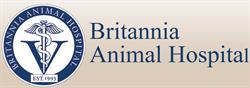 Britannia Animal Hospital, Mississauga, ON opening hours