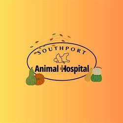 Southport Animal Hospital, Stratford, PE opening hours