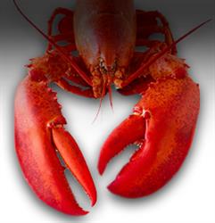 Poissonnerie Rive-Nord Incorporated, Repentigny, QC opening hours