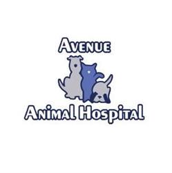 Avenue Animal Hospital Ltd, Saint John, NB opening hours
