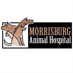 Morrisburg Animal Hospital, opening hours