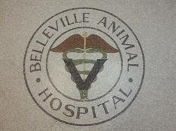 Belleville Animal Hospital, opening hours
