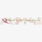 Centre For Soft Tissue Pain Inc in Calgary, AB (Connaught) - Opening Hours