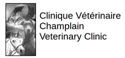 Champlain Veterinary Clinic, Hemmingford, QC opening hours