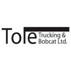 Tole Trucking & Bobcat Ltd in Calgary, AB (Thorncliffe) - Opening Hours
