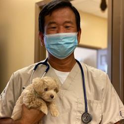 Canyon Hill Animal Hospital, Richmond Hill, ON opening hours