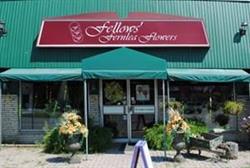 Fellows Fernlea Flowers, St. Thomas, ON opening hours