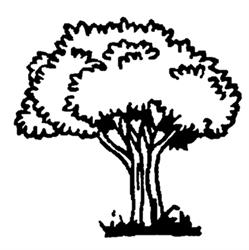 Oaktree Custom Woodwork Ltd in Calgary, AB (Highland Park) - Opening Hours