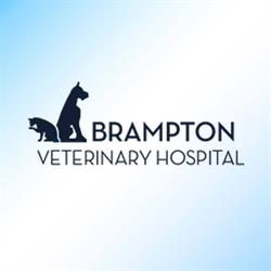 Brampton Veterinary Hospital, opening hours