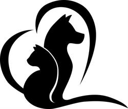 Dufferin Veterinary Hospital, Orangeville, ON opening hours