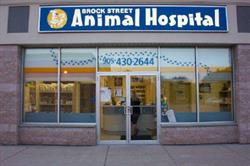 Brock Street Animal Hospital, Whitby, ON opening hours