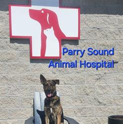 Parry Sound Animal Hospital, opening hours