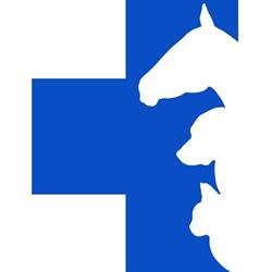 Shedden Veterinary Services, opening hours