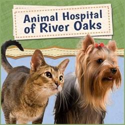 Animal Hospital of River Oaks, Oakville, ON opening hours