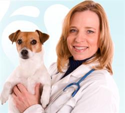 Millcreek Veterinary Clinic, Mississauga, ON opening hours