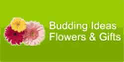 Budding Ideas Flowers & Gifts, Killam, AB opening hours