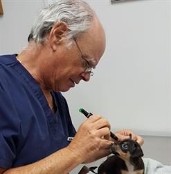 Markham Road Animal Hospital in Scarborough, ON (Woburn) - Opening Hours