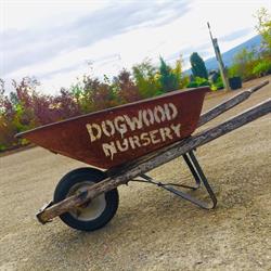 Dogwood Nursery & Landscaping, Westbank, BC opening hours