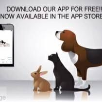Cranberry Hill Animal Hospital, Kemptville, ON opening hours