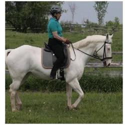 Evamar Farms Equestrian Centre, Lakefield, ON opening hours