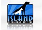 Island Veterinary Hospital Ltd, Richmond, BC opening hours