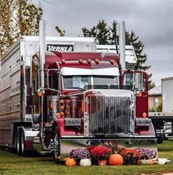 Vernla Livestock Incorporated, Wallenstein, ON opening hours