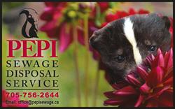 Pepi Sewage Disposal Svc, Port Severn, ON opening hours