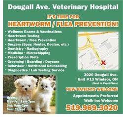 Dougall Avenue Veterinary Hospital, Windsor, ON opening hours